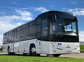 МАЗ-231185
